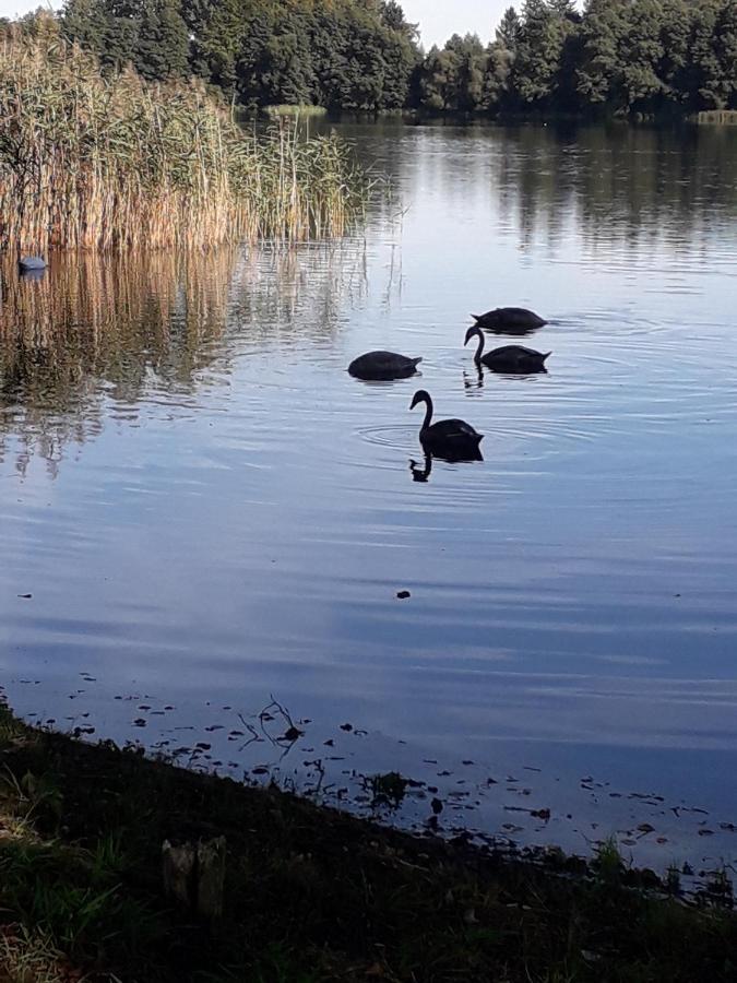 Domek u Janiny Czaplinek Zewnętrze zdjęcie