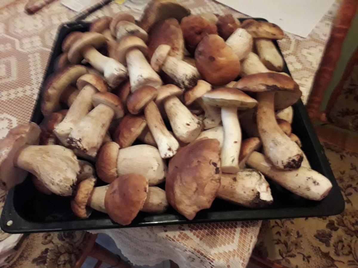 Domek u Janiny Czaplinek Zewnętrze zdjęcie